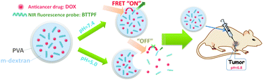 Graphical abstract: pH-Responsive and near-infrared-emissive polymer nanoparticles for simultaneous delivery, release, and fluorescence tracking of doxorubicin in vivo