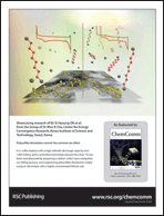 Graphical abstract: Back cover