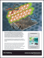 Graphical abstract: Back cover