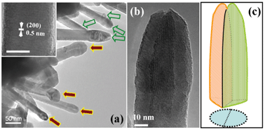 Graphical abstract: ITO bi-crystal nanowires follow a grain boundary assistant growth mode