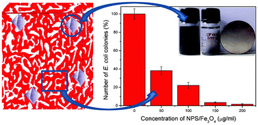 Graphical abstract: Synthesis and antibacterial properties of magnetically recyclable nanoporous silver/Fe3O4 nanocomposites through one-step dealloying