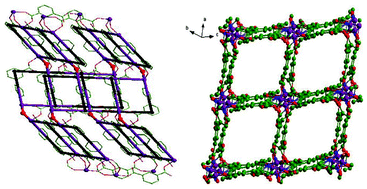 Graphical abstract: 3D CoII, NiII, CoII-doped NiII noninterpenetrated ladder-polymers: structural and magnetic studies