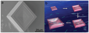 Graphical abstract: Formation of calcite with stepped (104) face under control of poly (ethylene glycol)-b-poly (l-leucine) at the air–solution interface