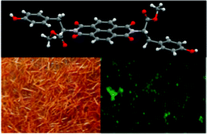 Graphical abstract: Hierarchical self-assembly of naphthalene bisimides to fluorescent microspheres and fluoride sensing