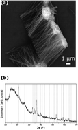 Graphical abstract: Electrochemical synthesis and magnetic properties of goethite single crystal nanowires