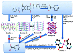 Graphical abstract: The construction of Cu(i)/Cu(ii) coordination polymers based on pyrazine–carboxylate: Structural diversity tuned by in situ hydrolysis reaction