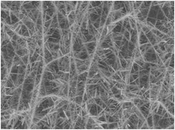 Graphical abstract: Hierarchically assembled 1-dimensional hetero-nanostructures: single crystalline RuO2 nanowires on electrospun IrO2 nanofibres