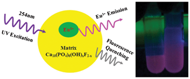 Graphical abstract: Controlled synthesis and enhanced luminescence of europium-doped fluorine-substituted hydroxyapatite nanoparticles