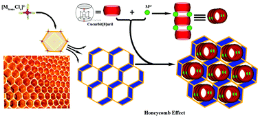 Graphical abstract: Tetrachloride transition-metal dianion-induced coordination and supramolecular self-assembly of strontium dications to cucurbit[8]uril