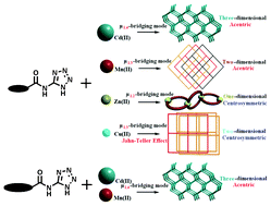 Graphical abstract: Coordination polymers of tetrazole-yl acylamide with octahedrally coordinated divalent transition metals: the effects of metal centers and side-groups on the structural topologies and symmetries