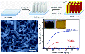 Graphical abstract: Improving the photoelectrochemical and photocatalytic performance of CdO nanorods with CdS decoration