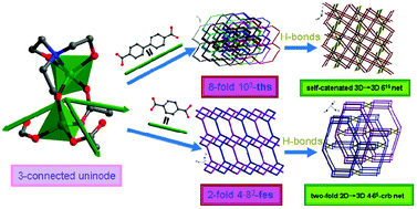 Graphical abstract: Two ligand-length-tunable interpenetrating coordination networks with stable Zn2 unit as three-connected uninode and supramolecular topologies
