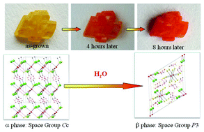 Graphical abstract: Crystal growth and characterization of a new polymorph of bismuth trithiourea chloride
