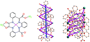 Graphical abstract: Analysis of factors governing the formation of single-stranded helical coordination polymers from a macrocyclic metalloligand and Ca2+, Mn2+, Fe2+, Co2+, Ni2+, Cu2+, Zn2+ and Pb2+