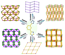 Graphical abstract: Cadmium(ii) and zinc(ii) complexes with rigid 1-(1H-imidazol-4-yl)-3-(4H-tetrazol-5-yl)benzene and varied carboxylate ligands