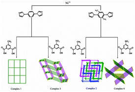 Graphical abstract: Tuning structural topologies of four Ni(ii) coordination polymers through modifying the substitute group of organic ligand