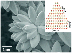 Graphical abstract: Self-assembled single-crystalline ZnO nanostructures