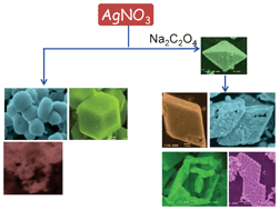 Graphical abstract: Morphology-controlled synthesis of Ag3PO4 microcrystals for high performance photocatalysis