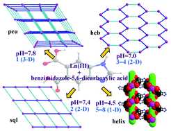 Graphical abstract: 1-D helical chain, 2-D layered network and 3-D porous lanthanide–organic frameworks based on multiple coordination sites of benzimidazole-5,6-dicarboxylic acid: synthesis, crystal structure, photoluminescence and thermal stability