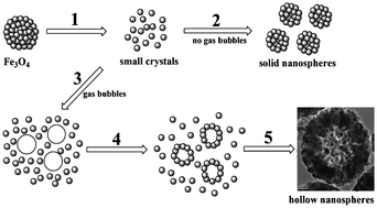 Graphical abstract: Building on size-controllable hollow nanospheres with superparamagnetism derived from solid Fe3O4 nanospheres: preparation, characterization and application for lipase immobilization