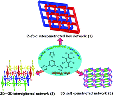 Graphical abstract: Reactant ratio-modulated entangled Cd(ii) coordination polymers based on rigid tripodal imidazole ligand and tetrabromoterephthalic acid: interpenetration, interdigitation and self-penetration