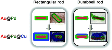 Graphical abstract: Formation of Au@Pd@Cu core–shell nanorods from Au@Pd nanorods through a new stepwise growth mode