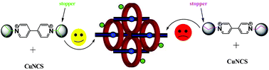 Graphical abstract: The side chain template effect in viologen on the formation of polypseudorotaxane architecture: six novel metal coordination polymers and their properties