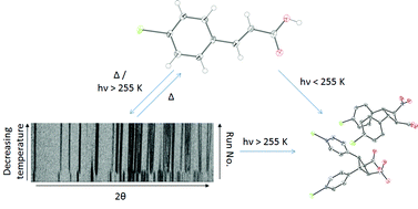 Graphical abstract: 4-Bromo-trans-cinnamic acid: structural characterisation and crystallographic investigation into the solid state [2 + 2] cycloaddition reaction and temperature induced phase transition