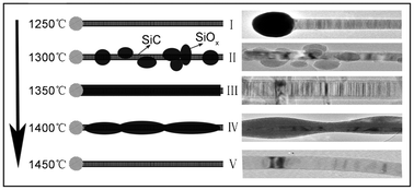 Graphical abstract: Surface-migration driving uniform amorphous shell on crystalline nanowire: the case of SiC/SiOx core–shell nanowires