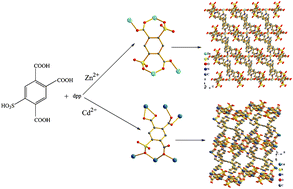 Graphical abstract: 3D metal–organic frameworks constructed of 2D metal aromatic sulfonate–carboxylate layers and 1,3-di(4-pyridyl)propane pillars: syntheses, structural topologies, and luminescent properties