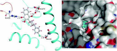 Graphical abstract: Crystal structures and binding studies of atovaquone and its derivatives with cytochrome bc1: a molecular basis for drug design