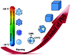 Graphical abstract: Shape-controlled synthesis of PbS nanostructures from −20 to 240 °C: the competitive process between growth kinetics and thermodynamics