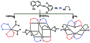 Graphical abstract: Anion-controlled structures and luminescent properties of three Cd(ii) complexes assembled by a 2-substituted 8-hydroxyquinoline ligand