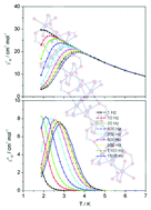 Graphical abstract: Unprecedented 1D alternate Co5 chain and discrete Co3 unit embedded in a 3D framework exhibiting slow magnetic relaxation behaviour