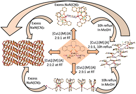 Graphical abstract: Structural diversity in the complexes based on a hetero-trimetallic Cu2Cd node and dicyanamide spacer: a hexanuclear cluster, a 1D stair polymer and a 1D zigzag chain as supramolecular isomers, and a 3D network