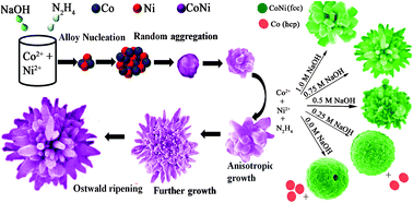 Graphical abstract: Controlled synthesis, phase formation, growth mechanism, and magnetic properties of 3-D CoNi alloy microstructures composed of nanorods