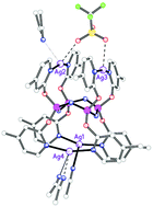 Graphical abstract: Flexible pyridyloxy-substituted cyclotetraphosphazene platforms linked by silver(i)