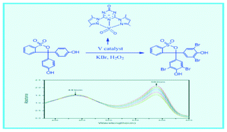 Graphical abstract: Bromoperoxidase mimic as catalysts for oxidative bromination—synthesis, structures and properties of the diversified oxidation state of vanadium(iii, iv and v) complexes with pincer N-heterocycle ligands