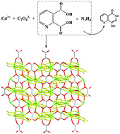 Graphical abstract: Oxalate-extended Cd2+–acylhydrazidate coordination polymers: synthesis, structure and fluorescence property