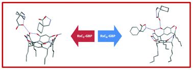 Graphical abstract: Cocrystals of gabapentin with C-alkylresorcin[4]arenes