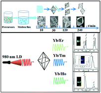 Graphical abstract: Molten salt synthesis of tetragonal LiYF4:Yb3+/Ln3+ (Ln = Er, Tm, Ho) microcrystals with multicolor upconversion luminescence