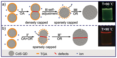 Graphical abstract: Temperature-sensitive growth kinetics and photoluminescence properties of CdS quantum dots