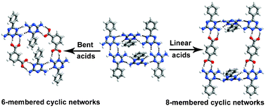 Graphical abstract: Influence of molecular shape on the design and synthesis of supramolecular assemblies