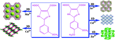 Graphical abstract: Construction of transition-metal coordination polymers using multifunctional imidazole dicarboxylates as spacers