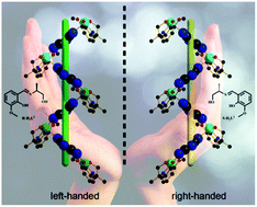 Graphical abstract: Homochiral crystallization of single-stranded helical coordination polymers: generated by the structure of auxiliary ligands or spontaneous symmetry breaking