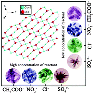Graphical abstract: A surfactant-free strategy for controllable growth of hierarchical copper oxide nanostructures