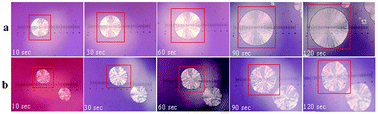 Graphical abstract: Effect of ionic liquid on the crystallization kinetics behaviour of polymer poly(ethylene oxide)