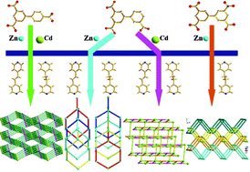 Graphical abstract: Positional isomeric and substituent effect on the assemblies of a series of d10 coordination polymers based upon unsymmetric tricarboxylate acids and nitrogen-containing ligands