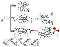 Graphical abstract: Structurally diverse copper(ii) complexes with pyridazine-integrated with pyrazine–Schiff base ligand featuring an easily lost proton in the hydrazone backbone