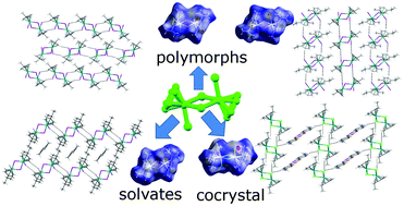 Graphical abstract: Polymorphs and co-crystal with half-sandwich Ru(ii) dimers [(η6-arene)RuX2]2